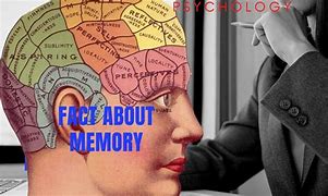 Image result for Facts About Memory