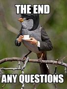 Image result for Are There Any Questions Meme