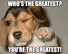 Image result for You're the Best Dog Meme