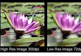 Image result for Low Resolution Sample Image