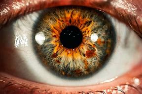 Image result for Eyes Getting Blurry