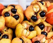 Image result for African American Eating Fruits