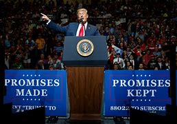 Image result for Politicians Promises