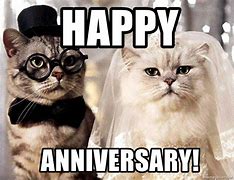 Image result for Grumpy Cat Happy Anniversary