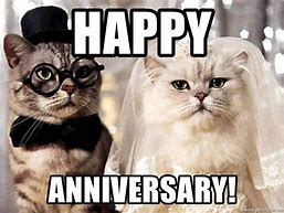 Image result for Happy Work Anniversary Cat Meme