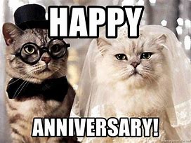 Image result for Happy Work Anniversary Cat