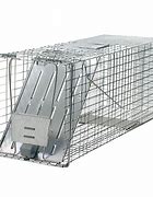 Image result for Home Depot Animal Traps
