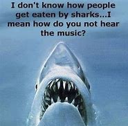 Image result for Great White Shark Funny Memes