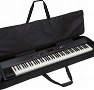 Image result for Piano Keyboard Carrying Case