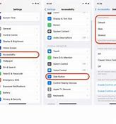 Image result for iOS Bug Types