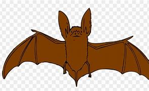 Image result for Bat Animate