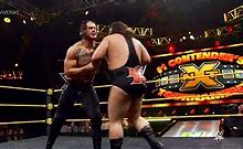 Image result for WWE NXT Champion