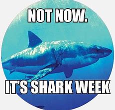 Image result for Shark Week Period Meme