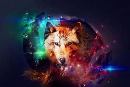 Image result for Galaxy Wolf Photo