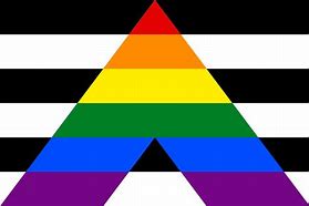 Image result for Straight Ally Memes