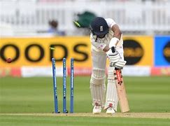 Image result for Cricket Humpire