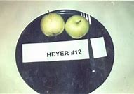 Image result for Heyer 12 Apple