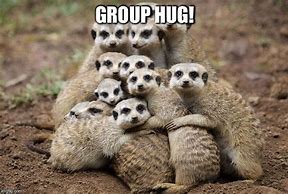 Image result for Animal Hug Meme