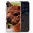 Image result for iPhone Cases and Popsockets Lama
