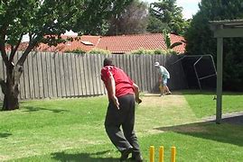 Image result for Backyard Cricket