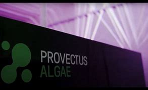 Image result for Provectus Algae