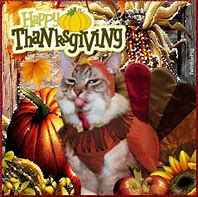 Image result for Funny Cat Thanksgiving Cards