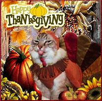 Image result for Thanksgiving Turkey Cat Meow Meme