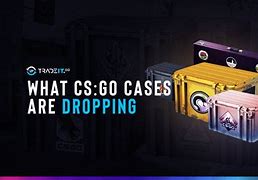 Image result for Dropping CS GO