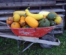 Image result for Local Produce Stand