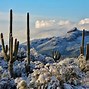 Image result for Arizona Hikers
