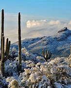 Image result for Arizona Winter