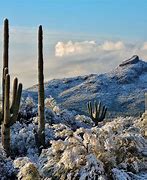 Image result for Arizona Winter Packing
