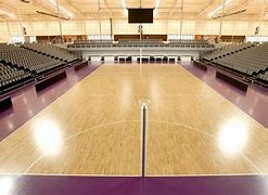 Image result for Indoor Netball State