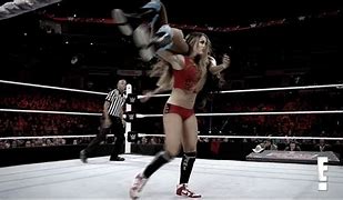 Image result for Nikki Bella Back