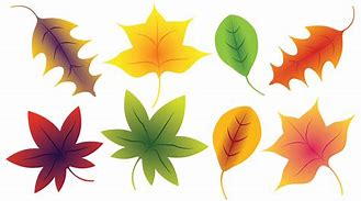 Image result for Free Printable Fall Leaves