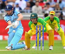 Image result for Cricket