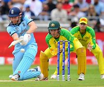Image result for Cricket Phography