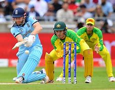 Image result for Picture of a Cricket