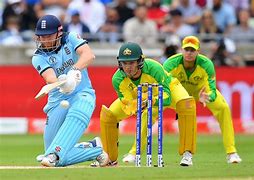 Image result for Cricket