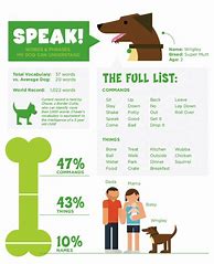 Image result for How to Speak Dog Language