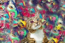 Image result for Trippy Cat High Wallpaper