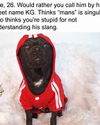 Image result for Hilarious Dog Memes