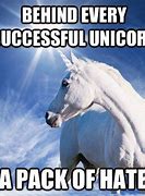 Image result for Female Unicorn Meme