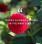 Image result for Inspirational Quotes About Flowers