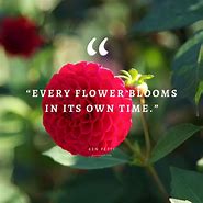 Image result for Beautiful Flower Quotes