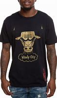 Image result for Chicago Bulls Hooded T-Shirt