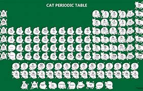 Image result for Chemistry Cat