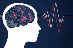 Image result for Brain Waves and Consciousness