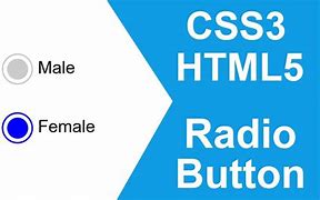 Image result for Radio Button in HTML Shape Change