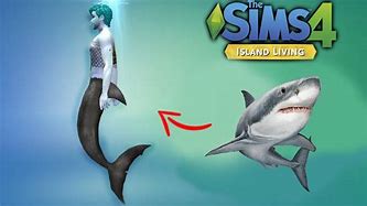 Image result for Shark Mermaid CC Sims 4